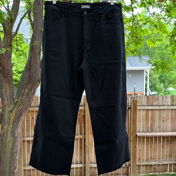 DL1961 High Rise Wide Leg Hepburn Ashwell Raw Frayed Hem size 31 - Picture 2 of 16